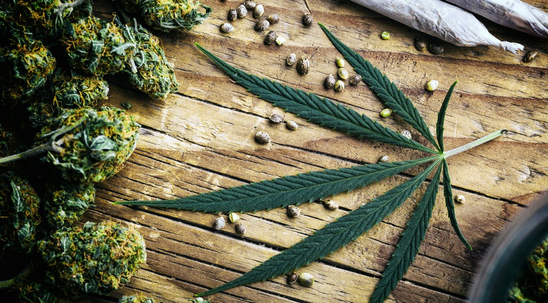 Marijuana leaf and cannibus buds Marijuana leaf and cannibus buds