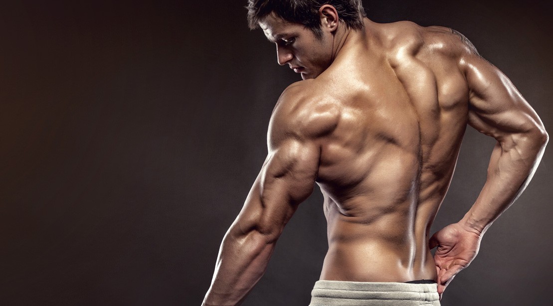 The Ultimate Arm Workout For Beginners Muscle Fitness The Ultimate Arm Workout For Beginners Muscle Fitness