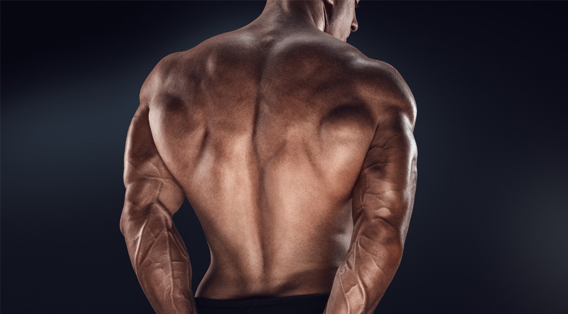 The Total Back Workout to Build a Perfect VTaper Muscle & Fitness