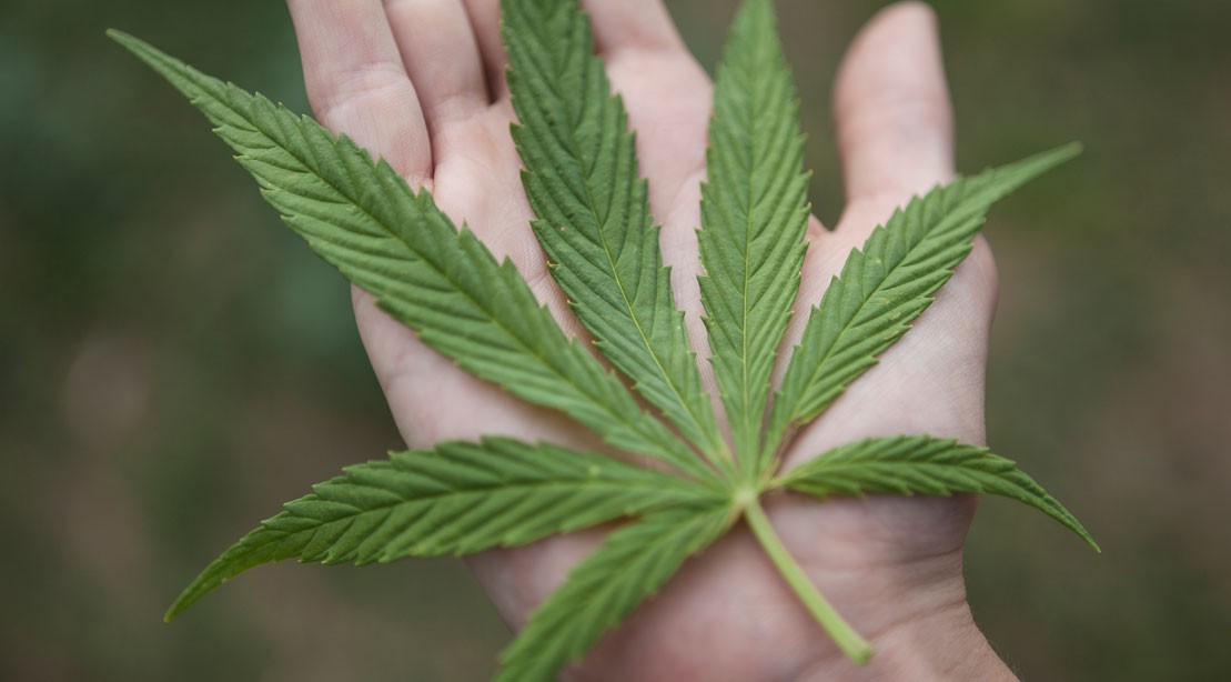 Does CBD Oil Actually Work? Does CBD Oil Actually Work?