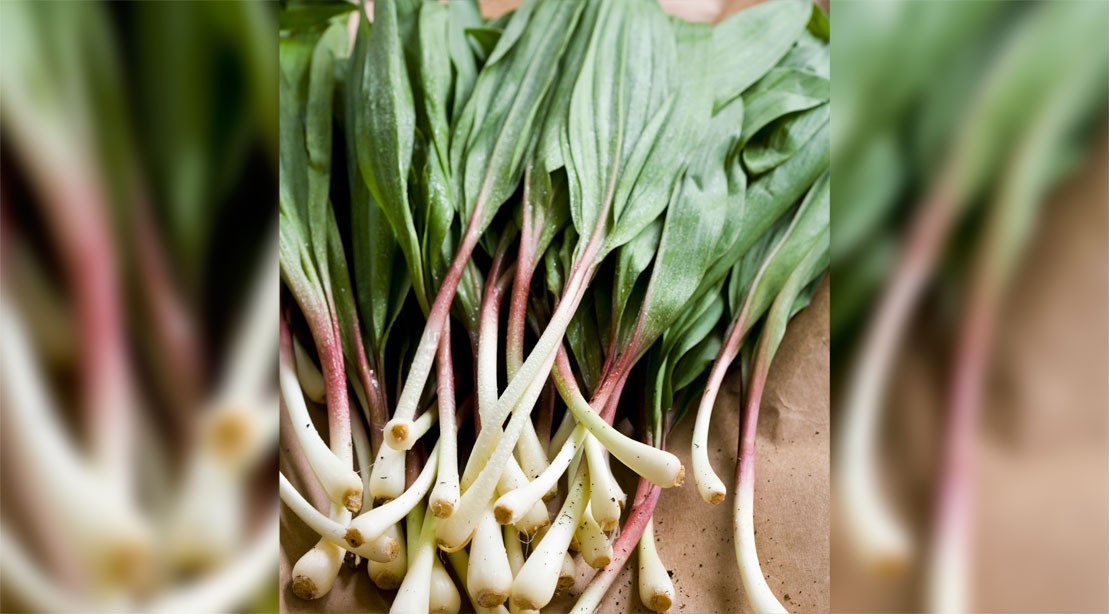 The 'Ramp' Up Your Health Recipe Muscle & Fitness