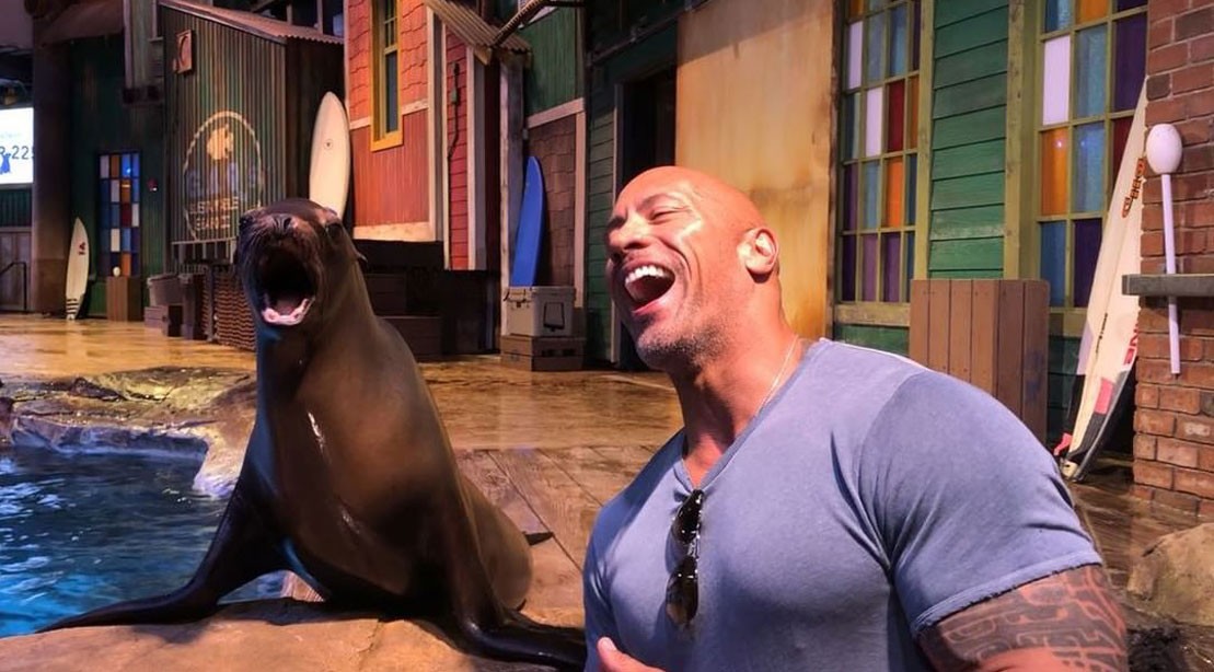 The Rock Introduces His New Lady Katie The Rock Georgia Aquarium