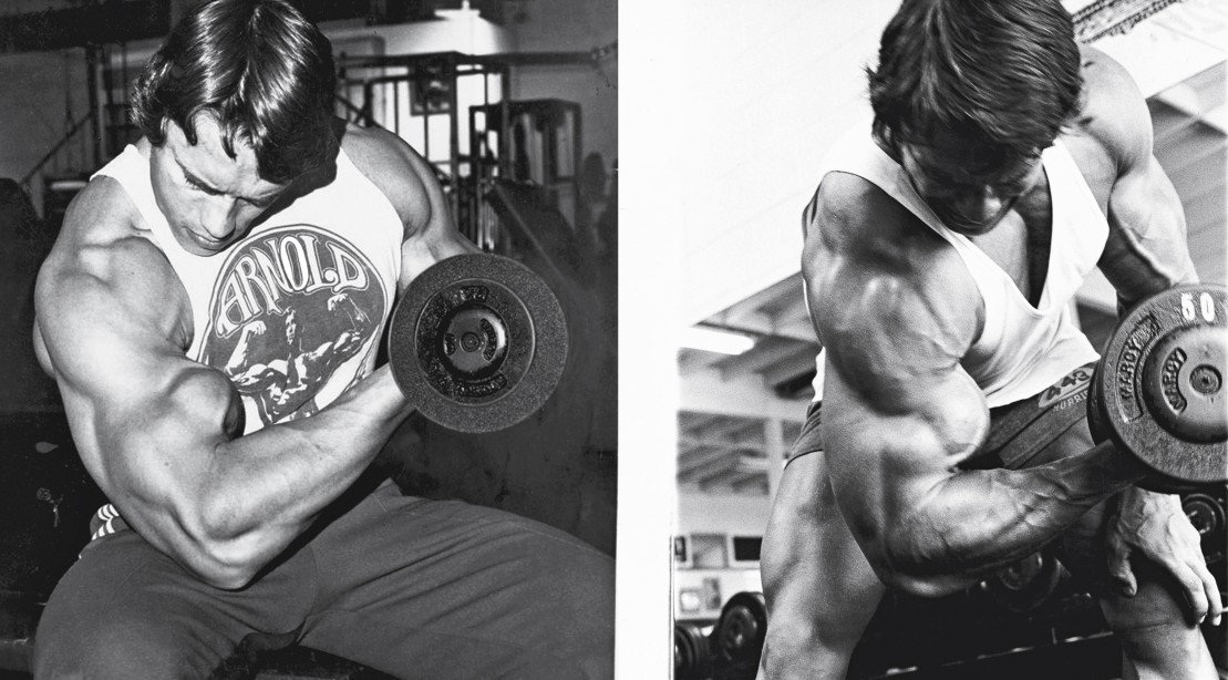 Austrian Alps Understanding Arnold�s Arms Workout Austrian Alps Understanding Arnold�s Arms Workout