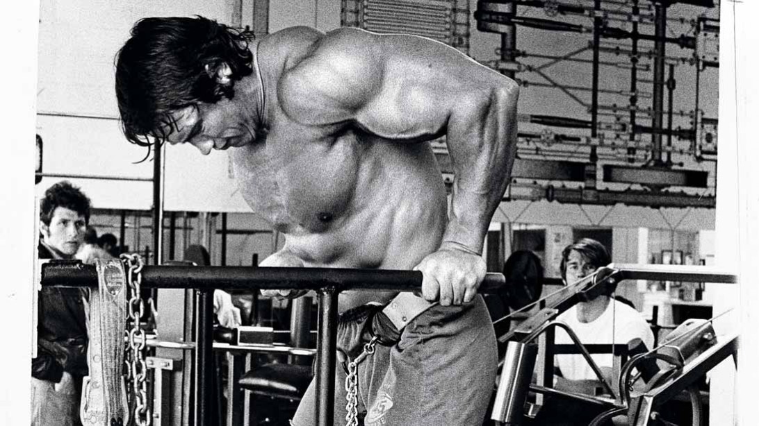 arnold schwarzenegger s ultimate training guide muscle fitness