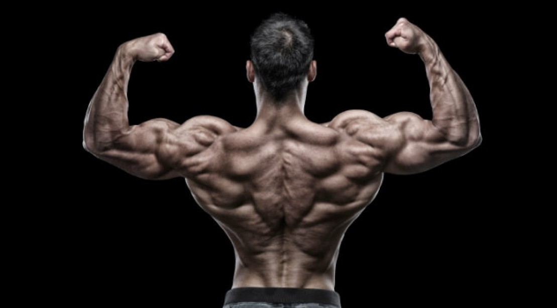 The Ultimate Lat Workout for a Bigger Back Muscle & Fitness