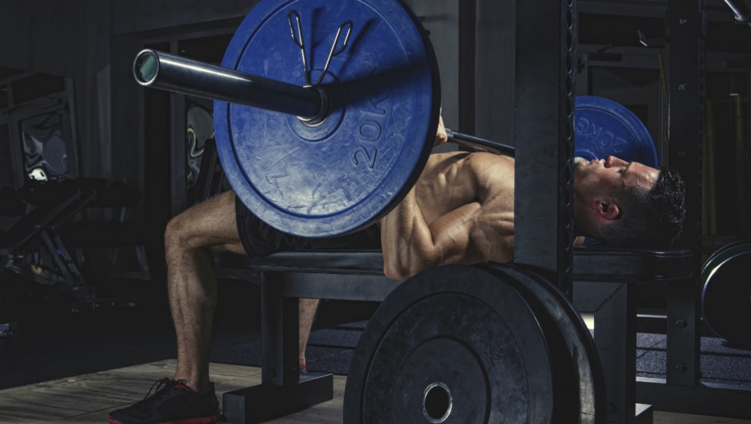 Building muscle and burning fat bodybuilding photo 10