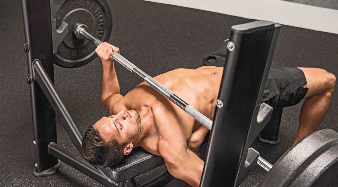 Bench Press Bench Press