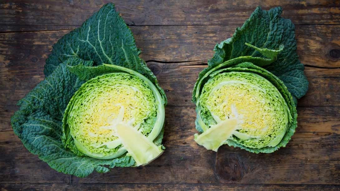 Unbelievable Health Benefits of Cabbage Muscle & Fitness