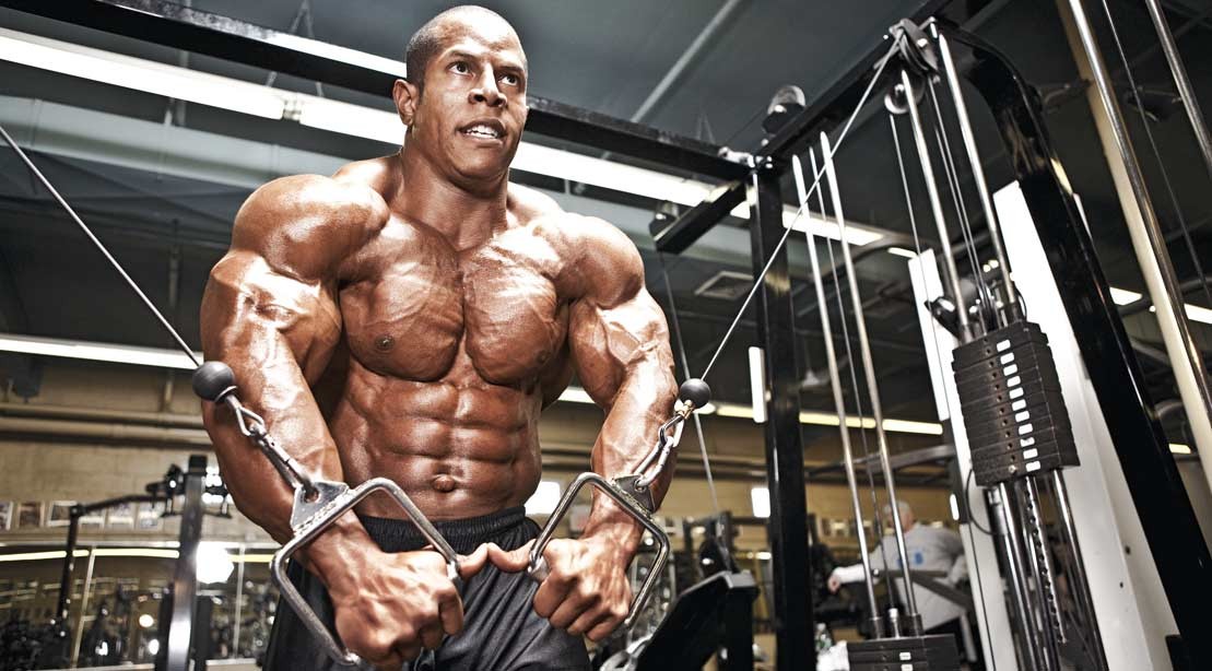 Build Rock Hard Muscle Build Rock Hard Muscle