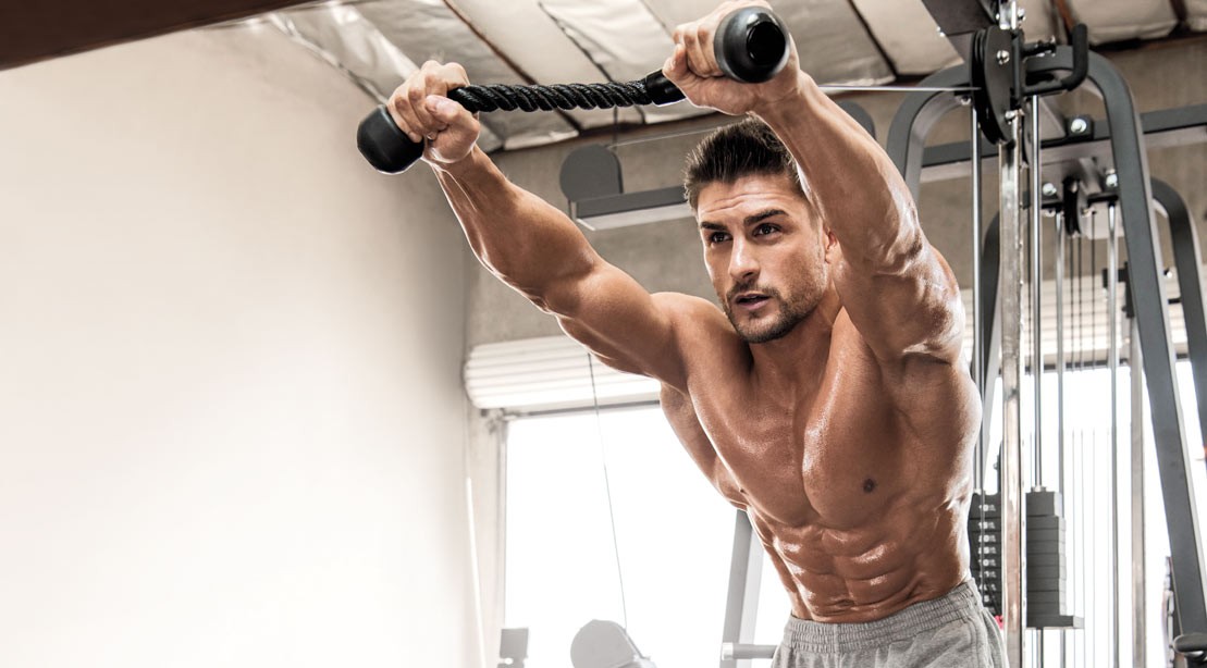 power plate workout routine pdf