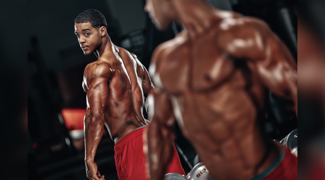 Image result for The Professional Bodybuilding Physique