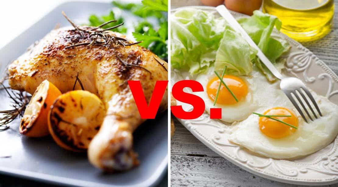 Chicken and egg diet Chicken and egg diet