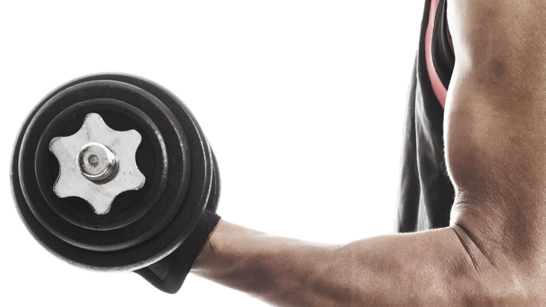 body fat percentage lower