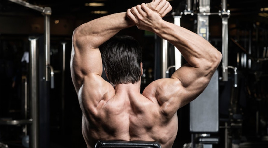 StraightUp Delt Workout for Massive Shoulders Muscle