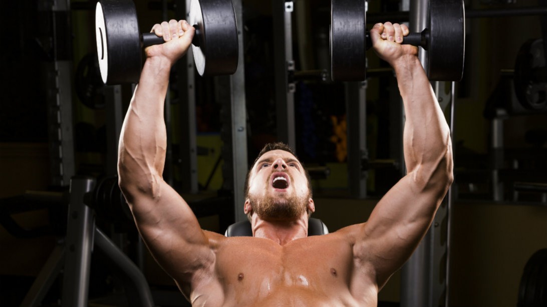 5 Best Dumbbell Strength Training Exercises Muscle Fitness