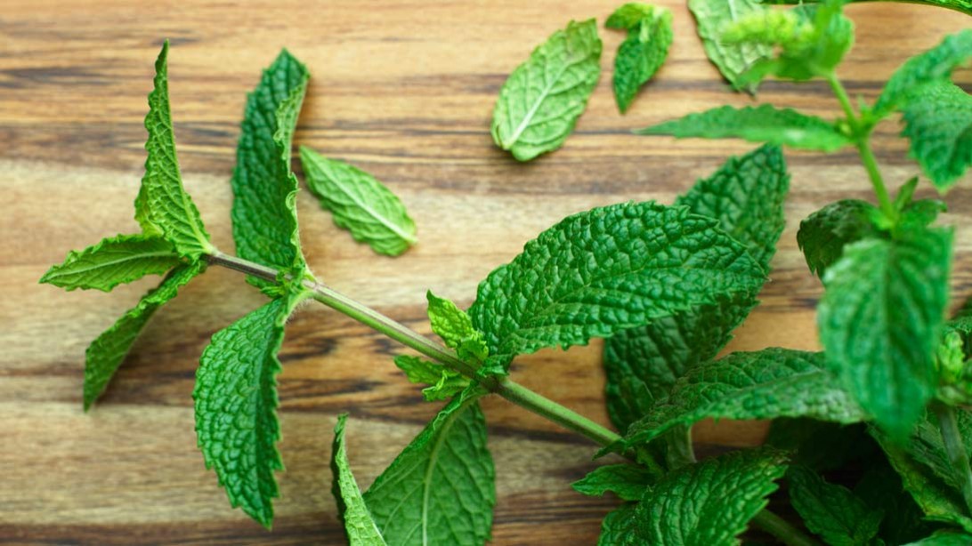 12 Supps for the Ultimate Burn Muscle & Fitness