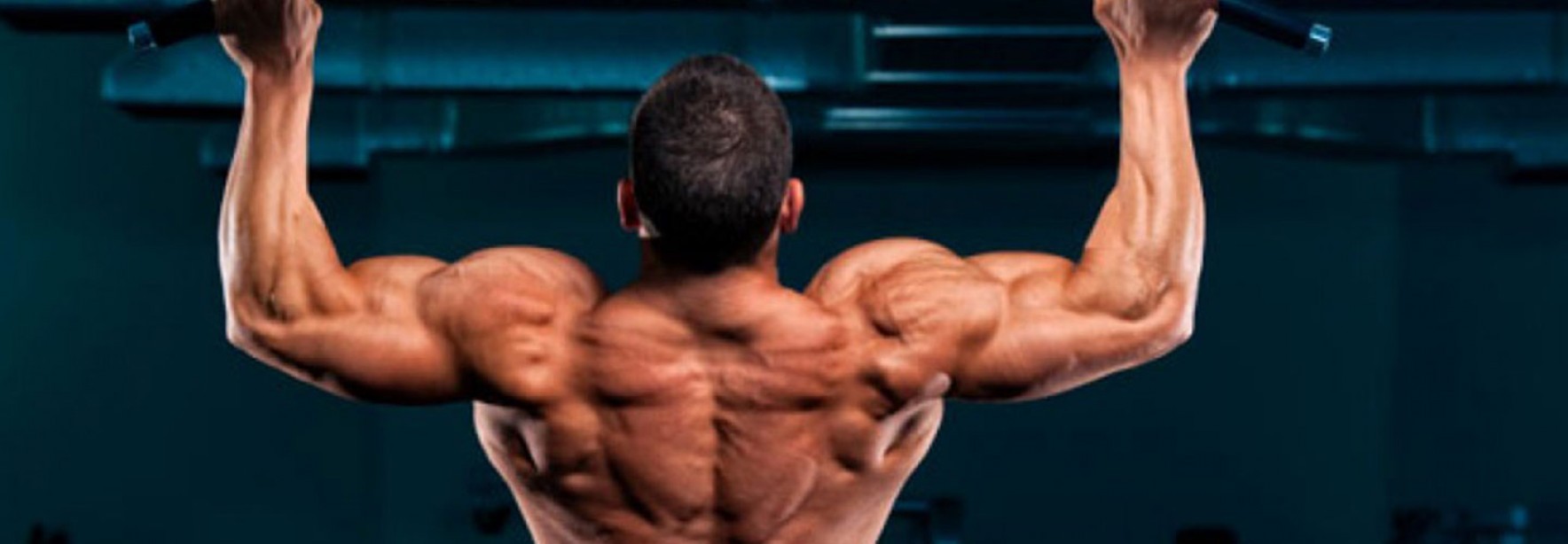 Straight Up Back Pullup Workout Muscle & Fitness