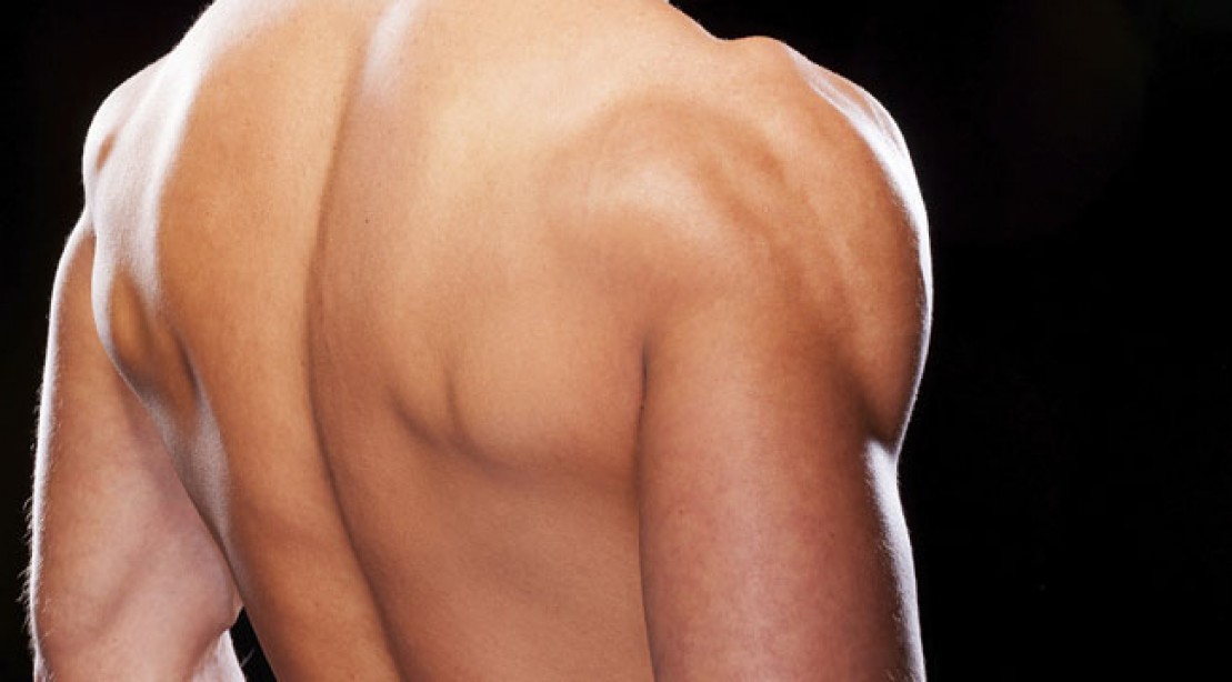 back of a man