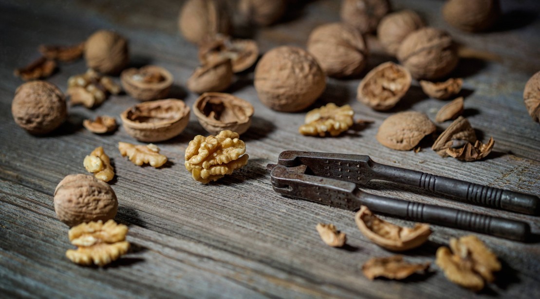 how to cut food cravings