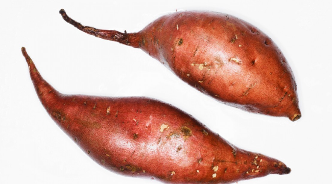 12 Bodybuilding Diet Tips to Build Muscle Muscle & Fitness