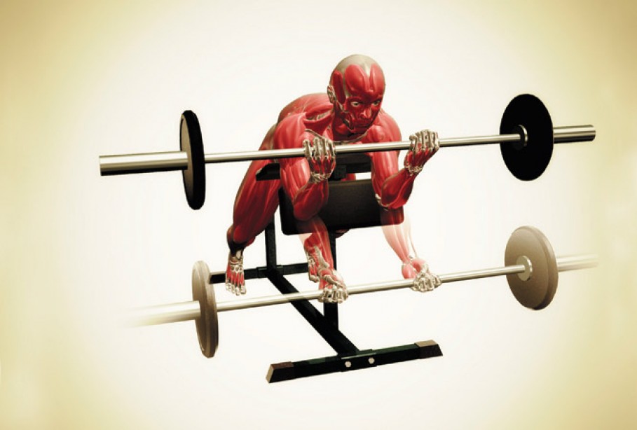 Anatomy Of An Exercise The Spider Curl Muscle Fitness