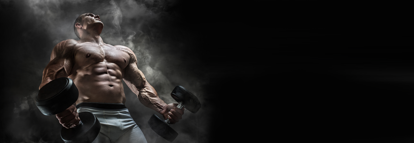28 days to massive arms workout program muscle fitness