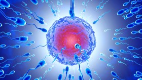 Eating A Lot of Junk Food Permanently Harms Your Sperm Count thumbnail