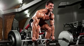 Gain 10 Pounds of Muscle in 4 Weeks thumbnail